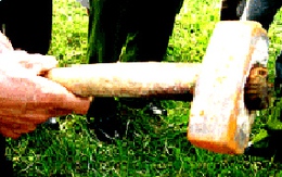 Dùng búa giết bạn thân, cướp 30 điện thoại
