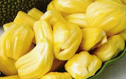 Trái mít và sức khỏe 