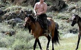 Ảnh Putin "khoe" cơ bắp trên lưng ngựa