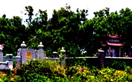 Đã cướp điện thoại còn hiếp nạn nhân