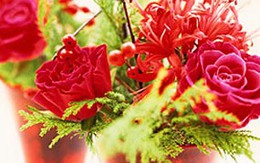 Chữa bệnh bằng màu sắc