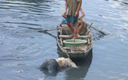  Xác chết nữ trôi trên sông Sài Gòn   