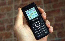Các loại "dế" giá bèo nhất tại Việt Nam