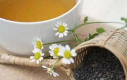 Cách làm 7 loại trà chữa bệnh