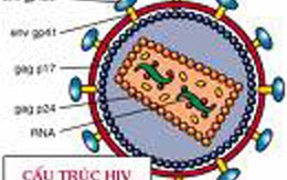 Điều trị hơn 10.000 lượt người mắc HIV/AIDS 