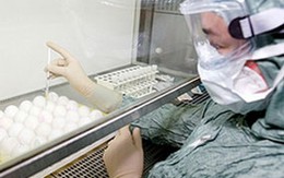 Sẽ nhập thuốc điều trị cúm A(H1N1) cho trẻ dưới 1 tuổi