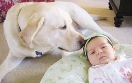 Trẻ sơ sinh hiểu được tiếng chó sủa