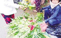 Tự trị cảm bằng xông lá: Coi chừng "dao hai lưỡi"