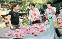 Nâng cao hiệu quả bảo vệ sức khỏe nhân dân