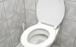 Dính chặt vào bồn cầu vì keo