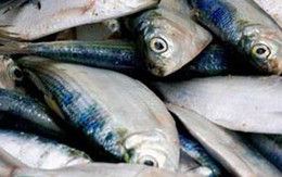 Ăn uống không đúng cách dễ gây bướu cổ