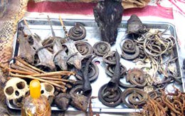 Cao linh cốt rởm và những chiêu lừa ma quái