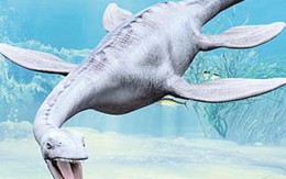 Quanh chuyện thủy quái Loch Ness xuất hiện trên Google Earth?