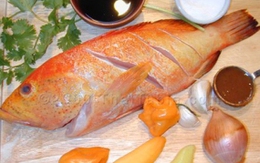 Mỡ cá rất tốt cho cơ thể