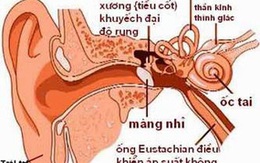 Đông y trị bệnh lý tai trong 