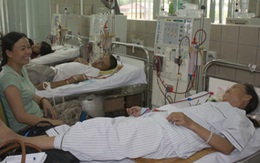 Nối những mạng sống mong manh