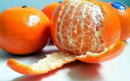 Tác dụng của vỏ hoa quả