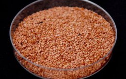 5 thực phẩm giúp mắt hết thâm quầng