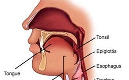 Bài thuốc dân tộc chữa viêm họng 