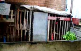 70 tuổi còn đi tù 5 năm chỉ vì bảo vệ... chuồng gà