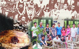 Hà Nội: "Sưa tặc" sa lưới