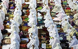 Nhập gia tùy tục