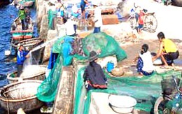Ẩu đả trên bến cảng, ngư phủ chết trôi sông