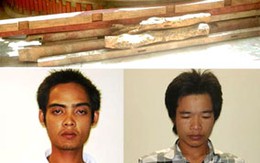 Thêm 2 đối tượng trong vụ chặt trộm cây sưa ra đầu thú