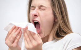 Rắc hạt tiêu vào người khác vì... mê tiếng hắt hơi