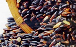 Tác dụng kì diệu của gạo nếp