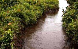 Một cô gái bị trói chân tay vứt gần mương nước