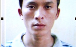 Bị đề nghị truy tố vì đập phá lăng mộ