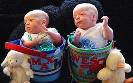 Mặt trái của thụ tinh trong ống nghiệm 