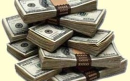 Dùng giấy tờ giả lừa hơn 6 tỷ