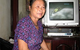 Vụ một giáo viên ra tay đánh bố đẻ: Đừng biện minh cho việc hành hung bố