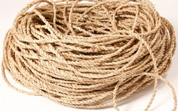 Bắt trói hàng xóm, cha con cùng ngồi tù