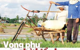 “Vọng phu” chờ biển bạc