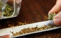 Rượu và thuốc lá độc hại hơn cả thuốc lắc, cần sa