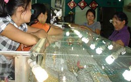 Giá vàng giảm nhẹ