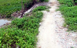 Bắt kẻ giết xe ôm
