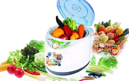 "Giải độc" thực phẩm bằng khí ozon: Con dao hai lưỡi