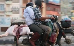 Trình Quốc hội dự án Luật An toàn thực phẩm: Đảm bảo an toàn và chất lượng sống