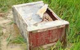 Bắt kẻ bịt mặt cướp giữa UBND xã