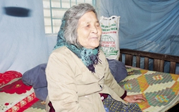 Cố sống chờ tin mộ chồng