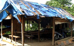 Đánh kiểm lâm vì "dám" tịch thu gỗ lậu