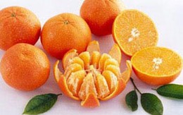 Tác dụng của vỏ quýt với sức khỏe