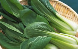Chữa bệnh bằng rau cải