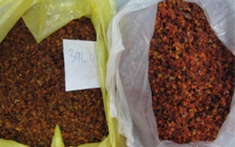 Hạt dưa chứa chất gây ung thư cực độc hại