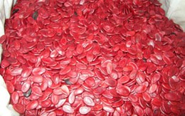 Cách nhận biết hạt dưa có chất gây ung thư 