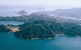 Bán đấu giá một hòn đảo để chống lãng phí